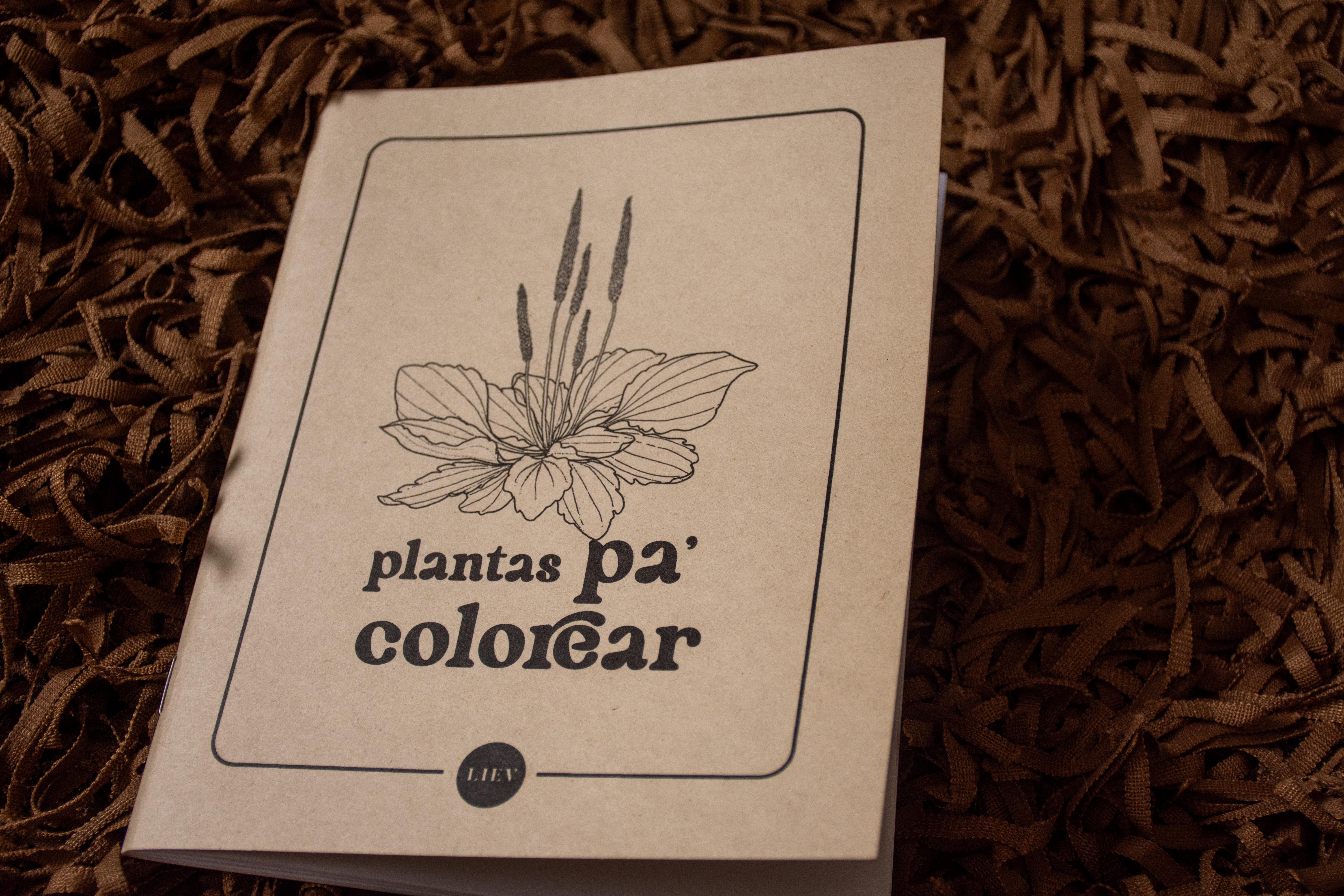 Plantas para Colorear - Vista 1
